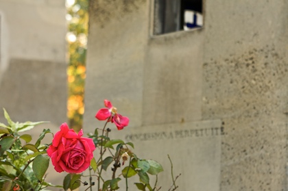 Concession à Perpetuité