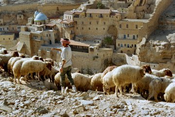 Monastery of Saint Catherine